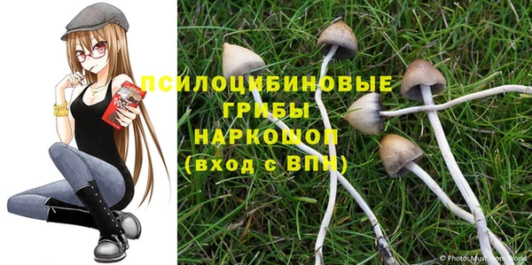 гашик Кущёвская