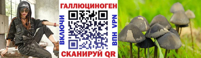 Купить  Гусиноозёрск  Псилоцибиновые грибы ЛСД 